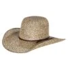 Stetson Hats Youth Dalford 4 1/4` Brim Bangora
