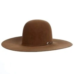 Resistol 30X Dunn Rough N Ready 4 1/2in. Brim Felt Cowboy Hat