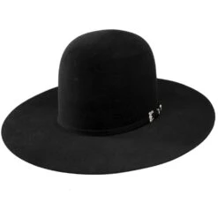 Resistol 20X Black Gold 4 /4in. Brim Open Crown Felt Cowboy Hat