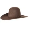 Rodeo King 7X Hickory 4 1/2in. Brim Self Band