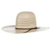 Resistol 4 Corners 4 1/2in. Brim Open Crown Straw Cowboy Hat
