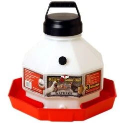 Little Giant Fount Plastic Jar 3 Gallon