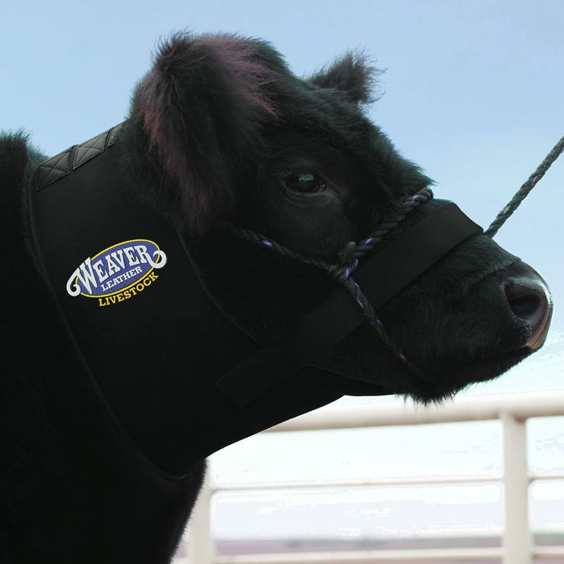 Weaver Leather Leather Large Neoprene Neck Sweat - Image 3