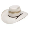 Resistol Rampage Jr. 4in. Brim Youth Hat