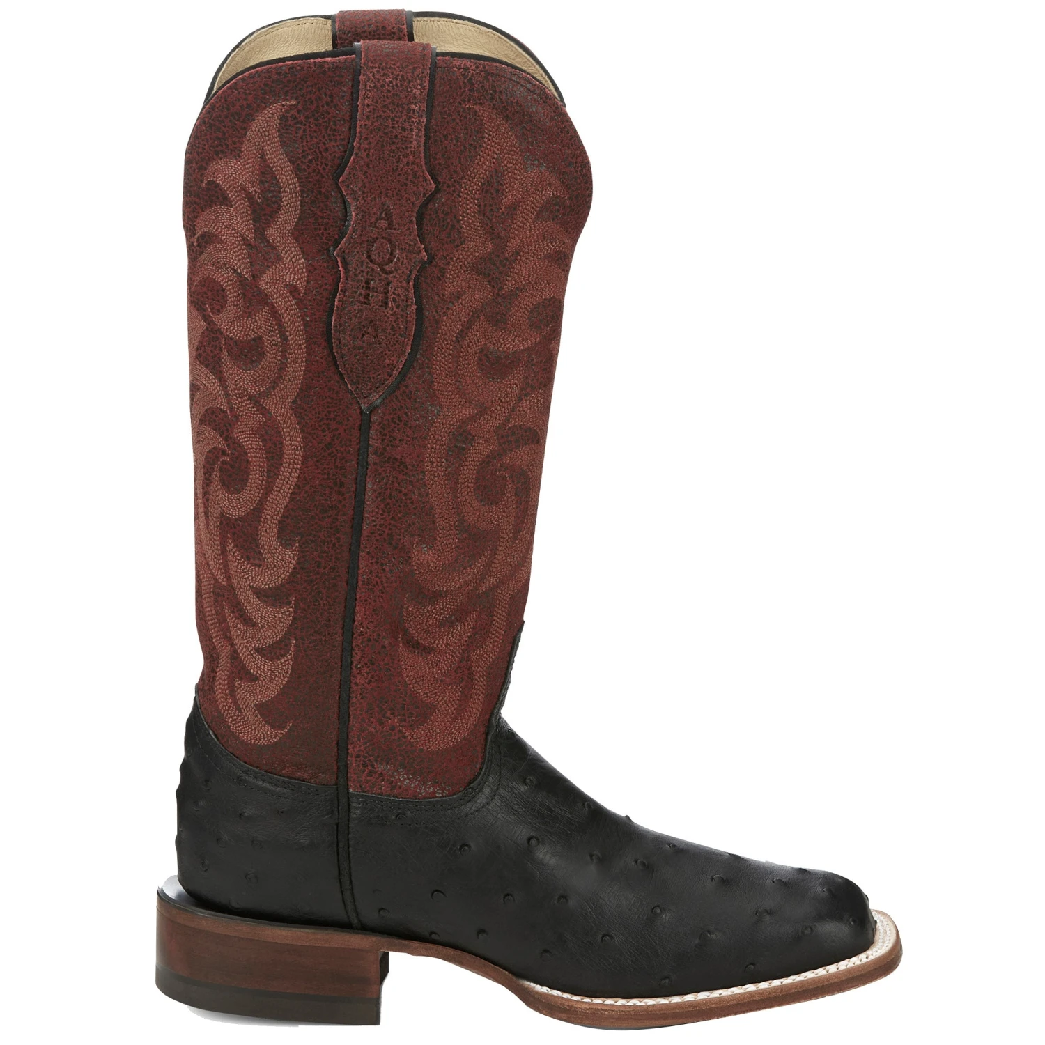 Justin Boots Women`s AQHA Cowgal Black Full Quill Ostrich 13 In Boot - Image 2